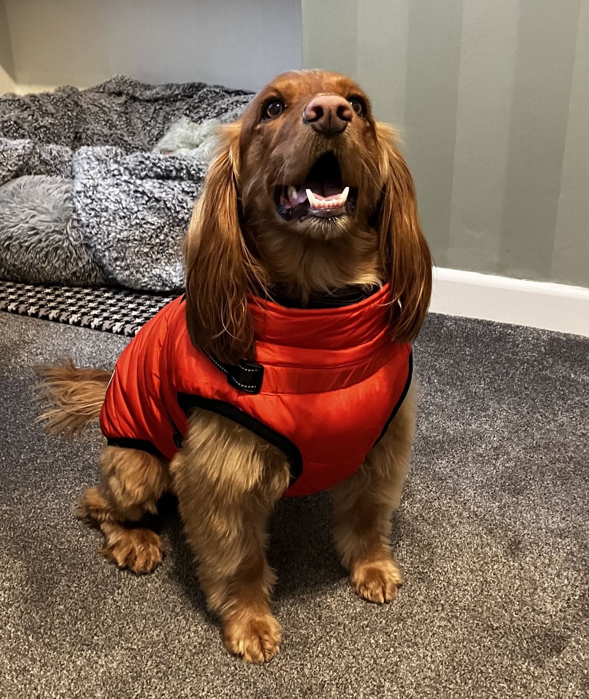 Customer photo review of Manteau 3-en-1 Vira™