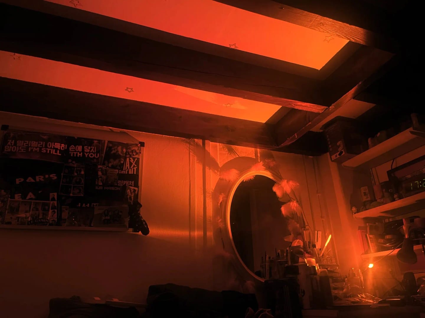 Customer photo review of Light Projector RGB