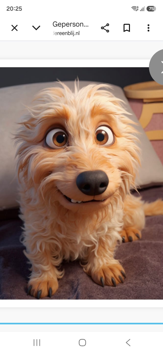 Customer photo review of Gepersonaliseerde poster van jouw eigen huisdier als 3D cartoon