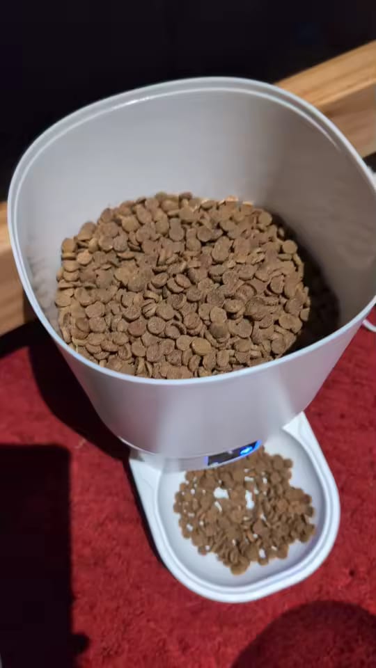 Customer photo review of PawFeed - WiFi Smart Pet Feeder