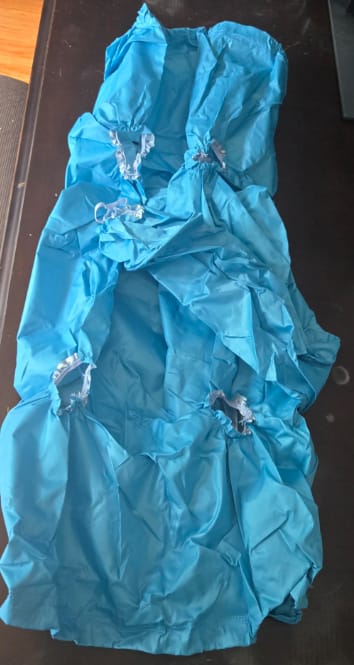 Customer photo review of Bolsa Secadora para Gatos