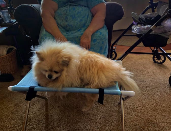 Customer photo review of Mesa Plegable para Cuidado de Mascotas