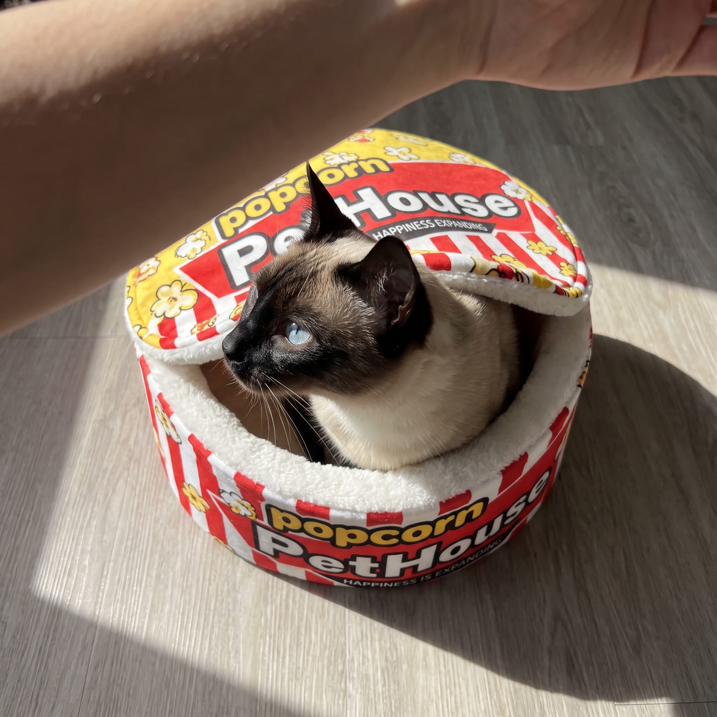 Customer photo review of Cama PopCorn para tu gato
