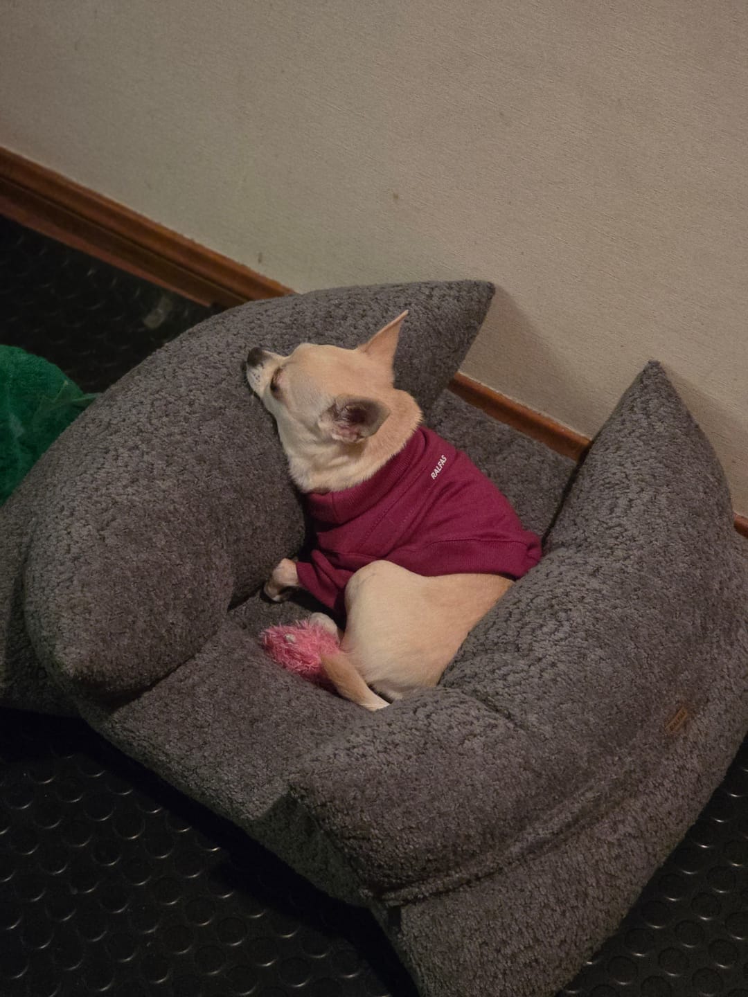 Customer photo review of Cama Yoko Gris S