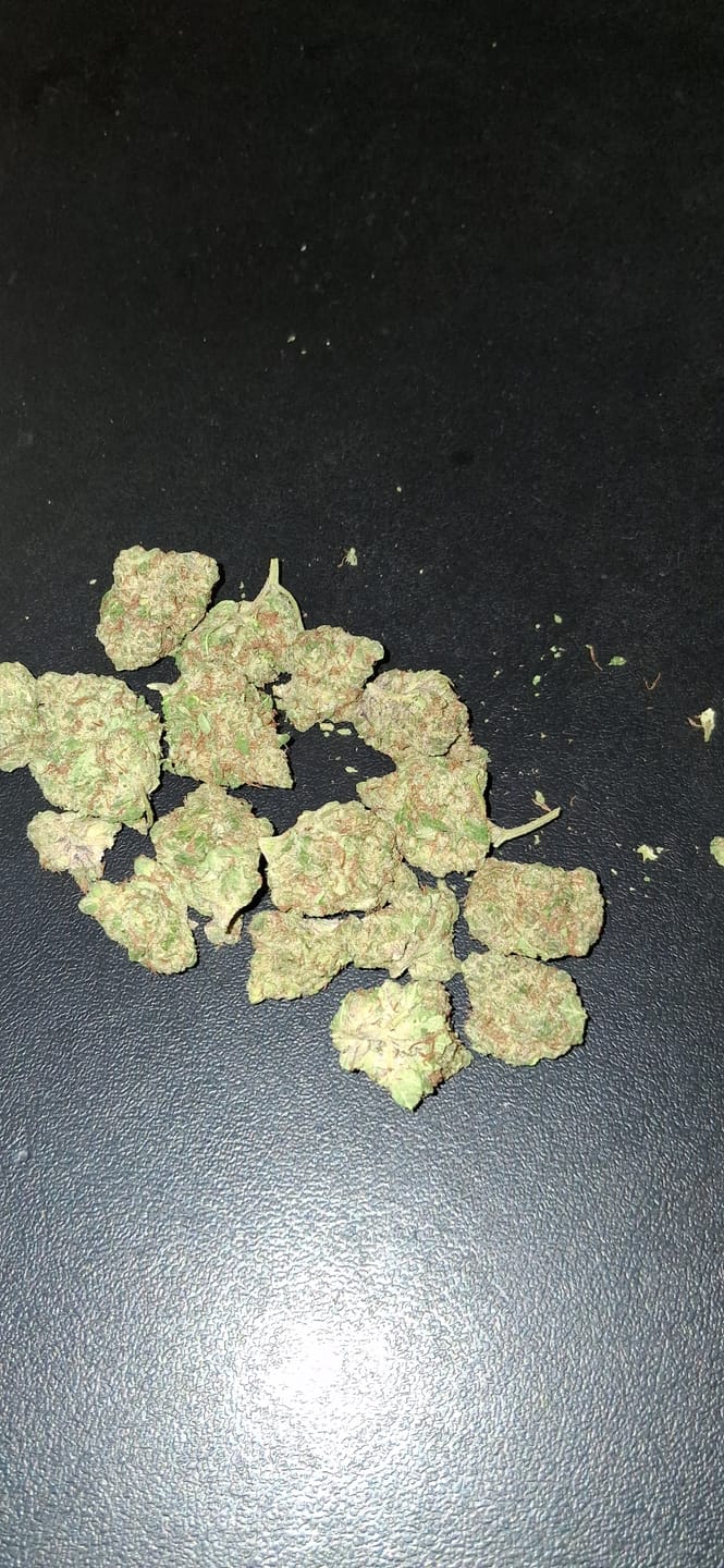 Customer photo review of Purple Nebula (Light Assist) - THCA Flower
