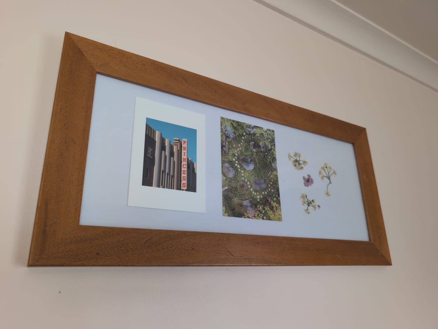Customer photo review of Princess Theatre, Launceston I - Greeting Card