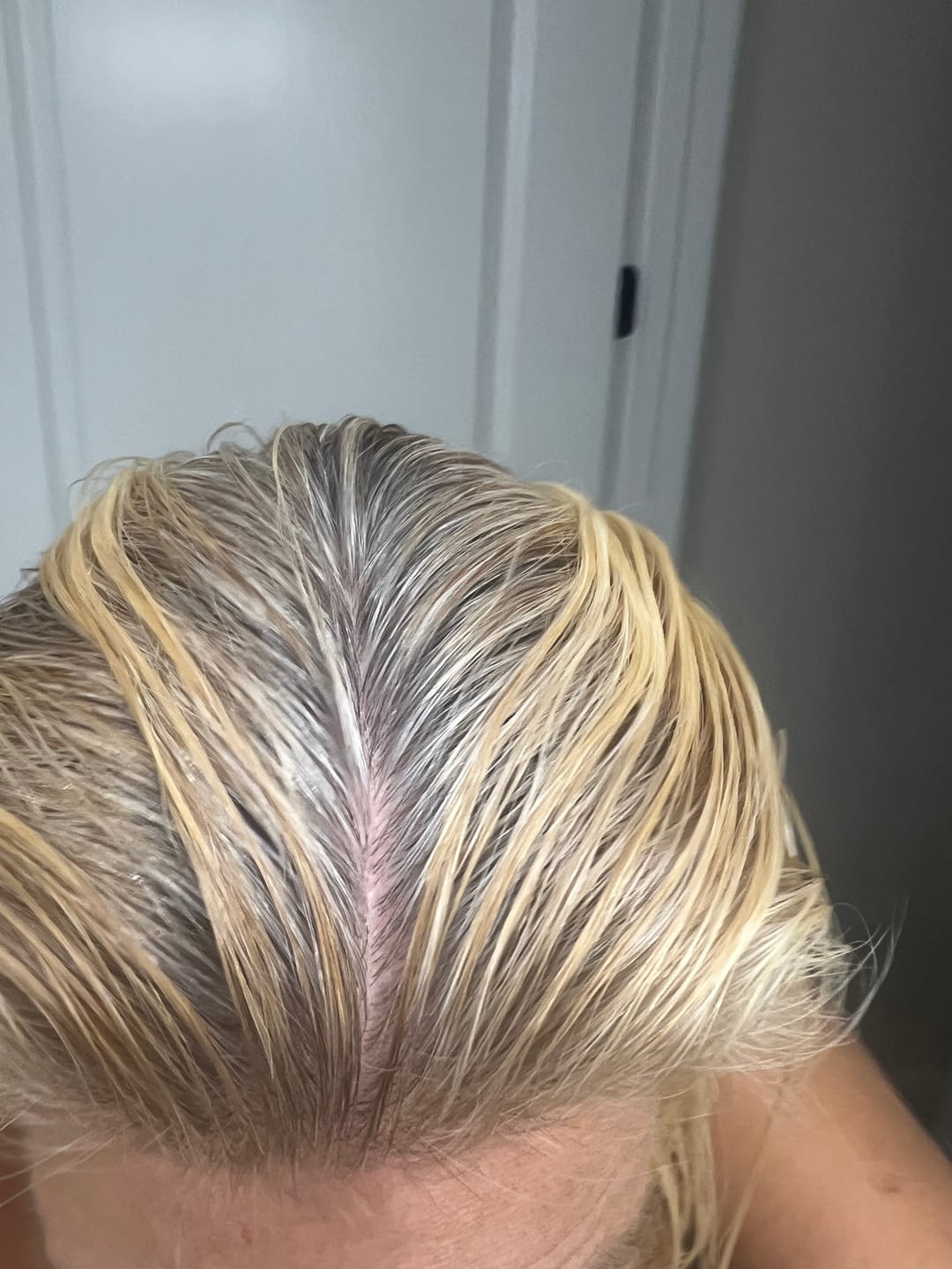 Customer photo review of Instant Dye Shampoo
