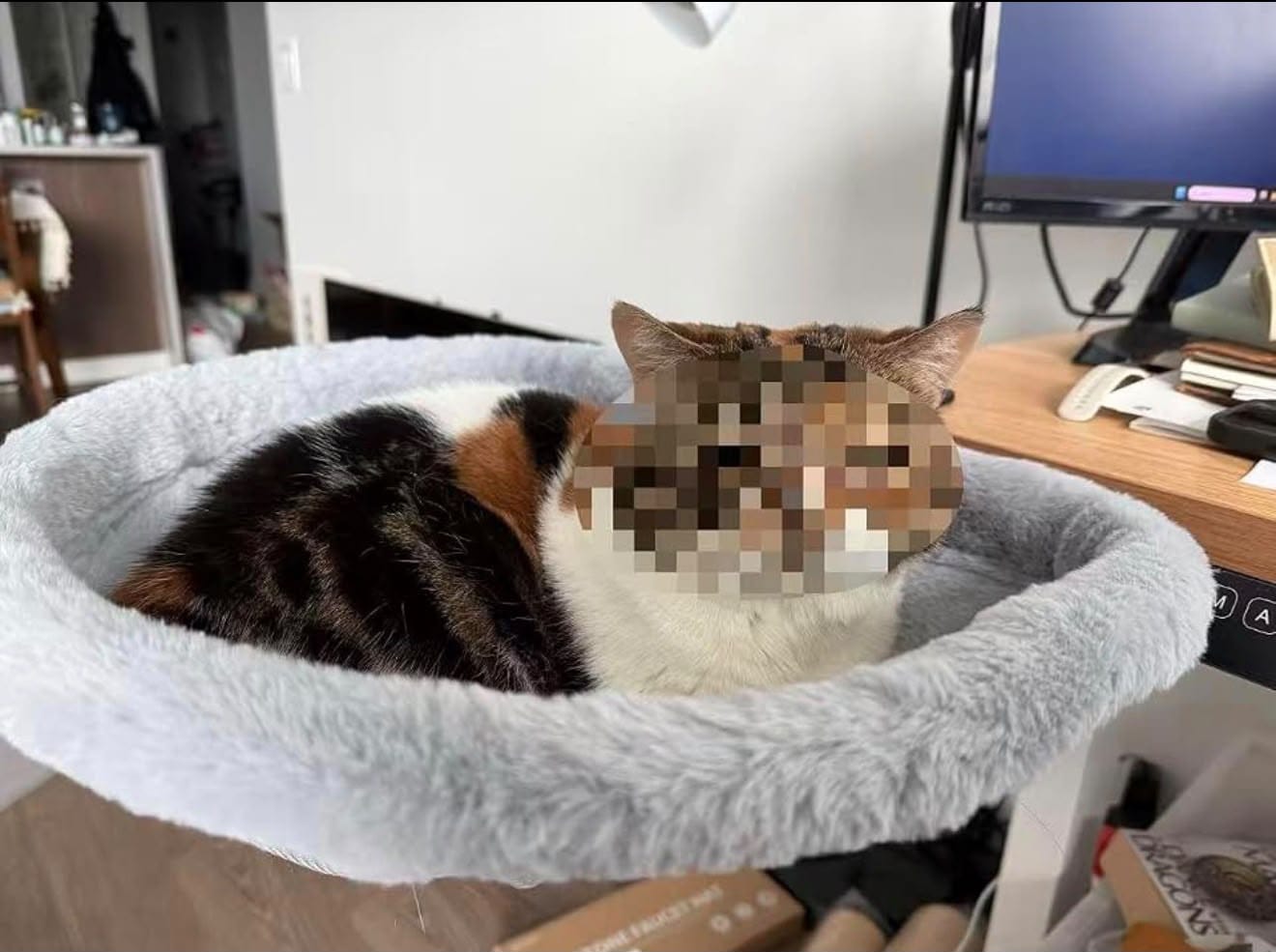 Customer photo review of FlotyCat® Desk Hammock