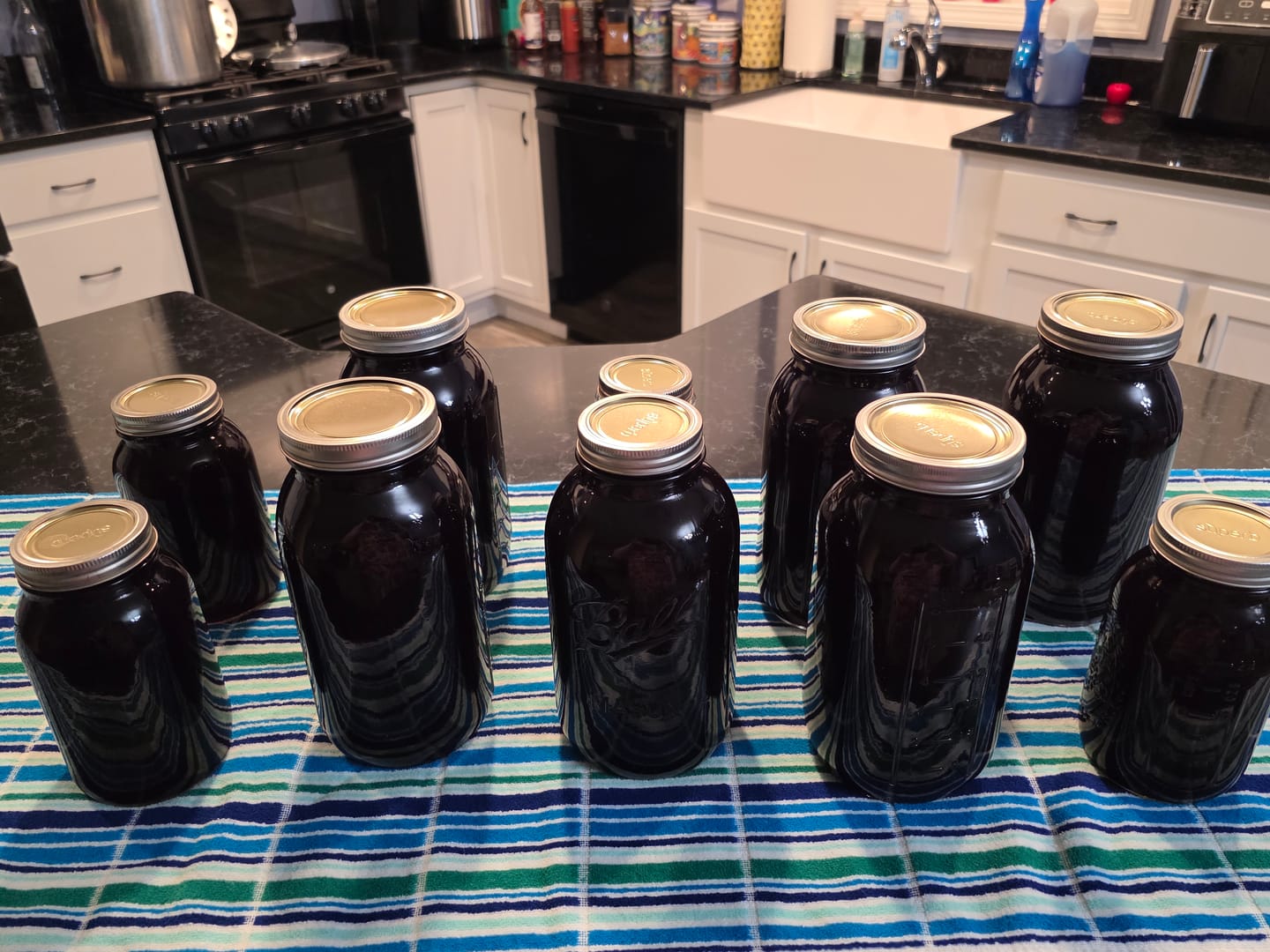 Customer photo review of Concord Grapes - 1/2 bu box