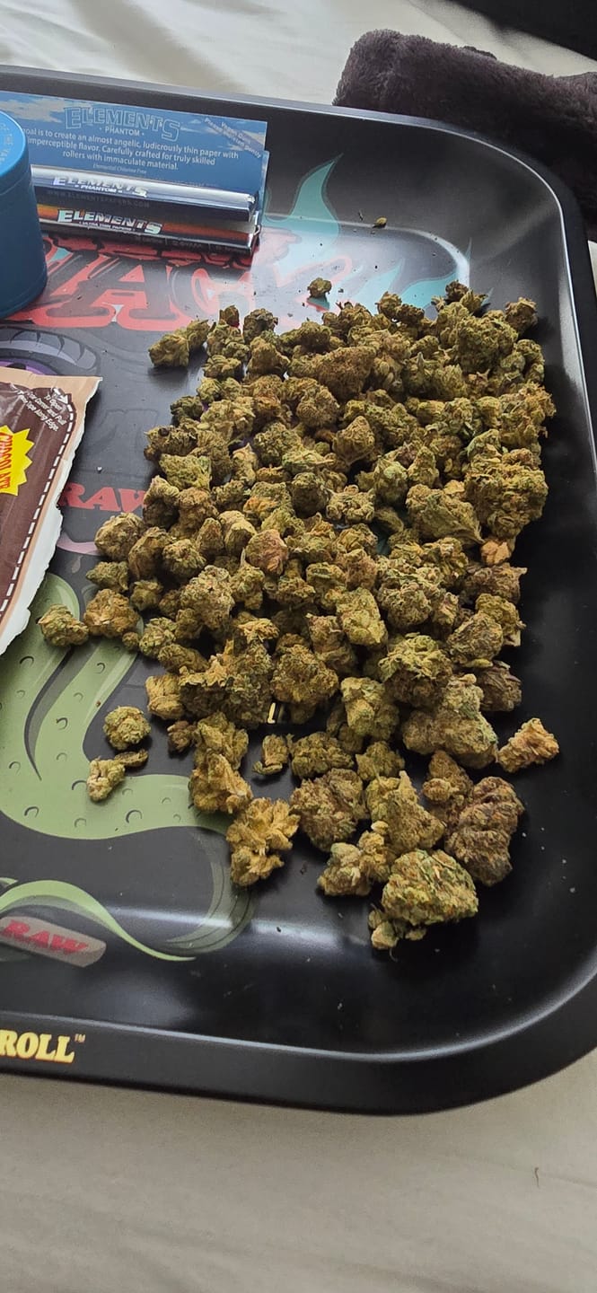 Customer photo review of White Widow - 28 Grams – Hybrid