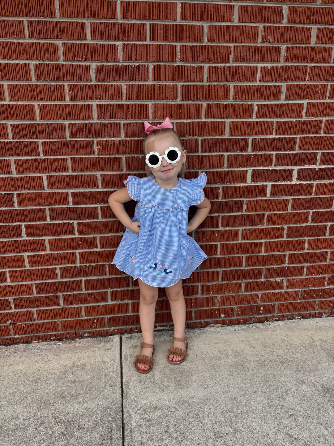 Customer photo review of Sweet Bird Embroidered Light Blue Gingham Amelia Skirt Bubble