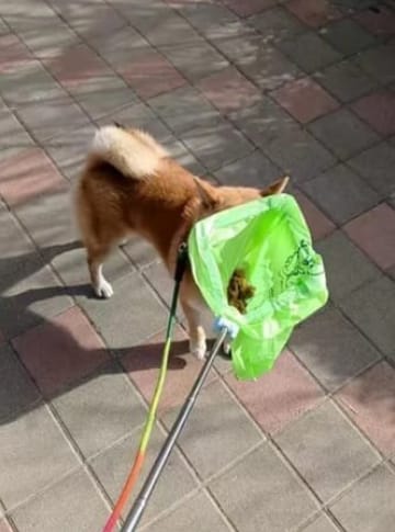 Customer photo review of Recolector Toilet portatil para perros