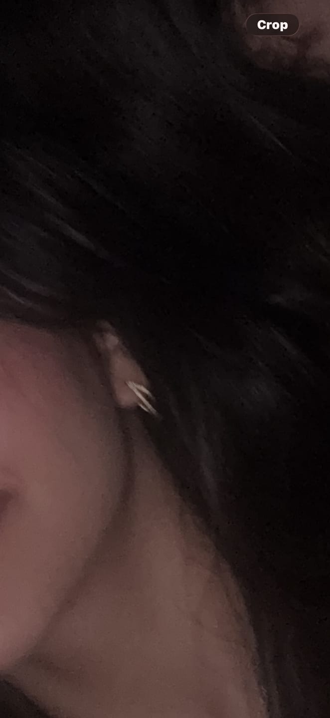 Customer photo review of Par Arracada Doble Con Zirconias