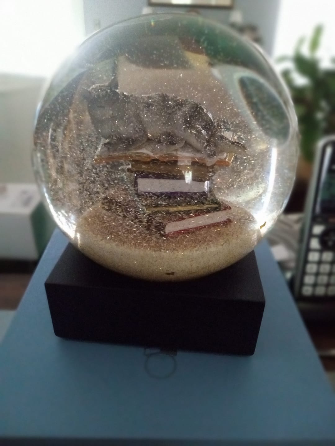 Customer photo review of Cat on Books Snow Globe