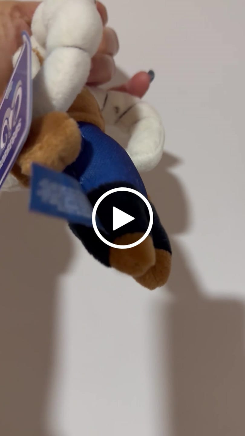 Customer video review of Peluche Teus Mini Llavero