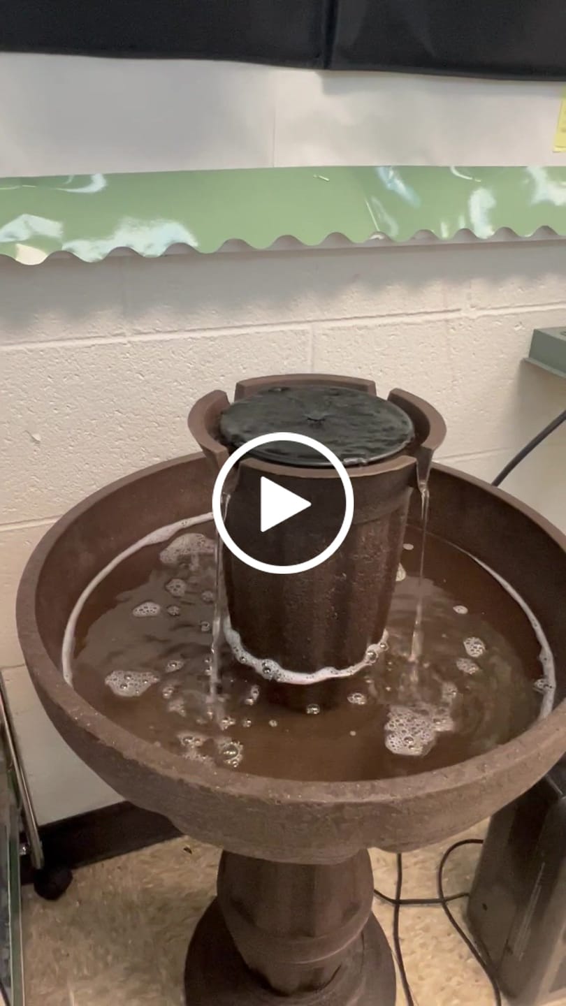 Customer video review of Bari 5-In-1 Cordless Fluted Fountain