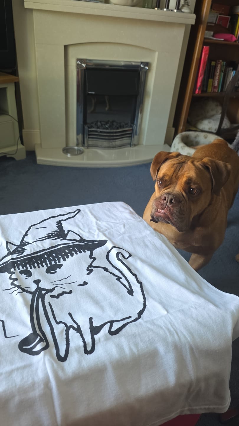 Customer photo review of MEOWBRO MYSTERY TEE