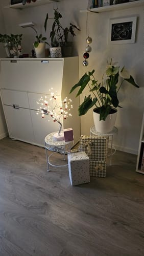 Customer photo review of Lumi Trees® - The Peace Tree with 108 LED`s