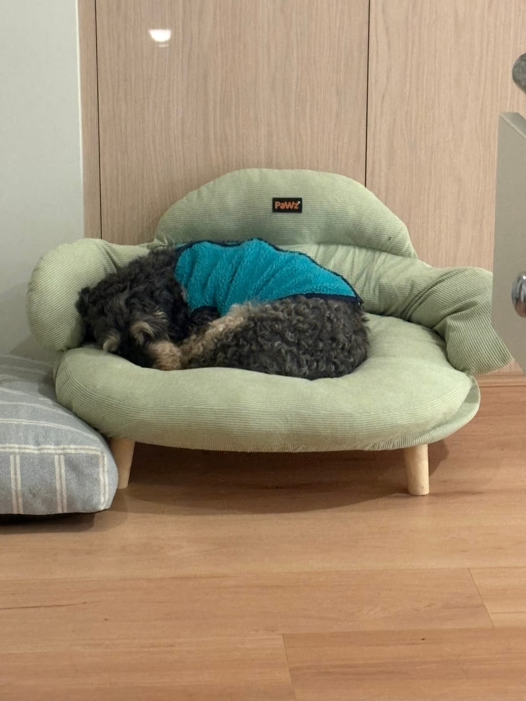Customer photo review of CloudNest Elevated Pet Sofa Bed