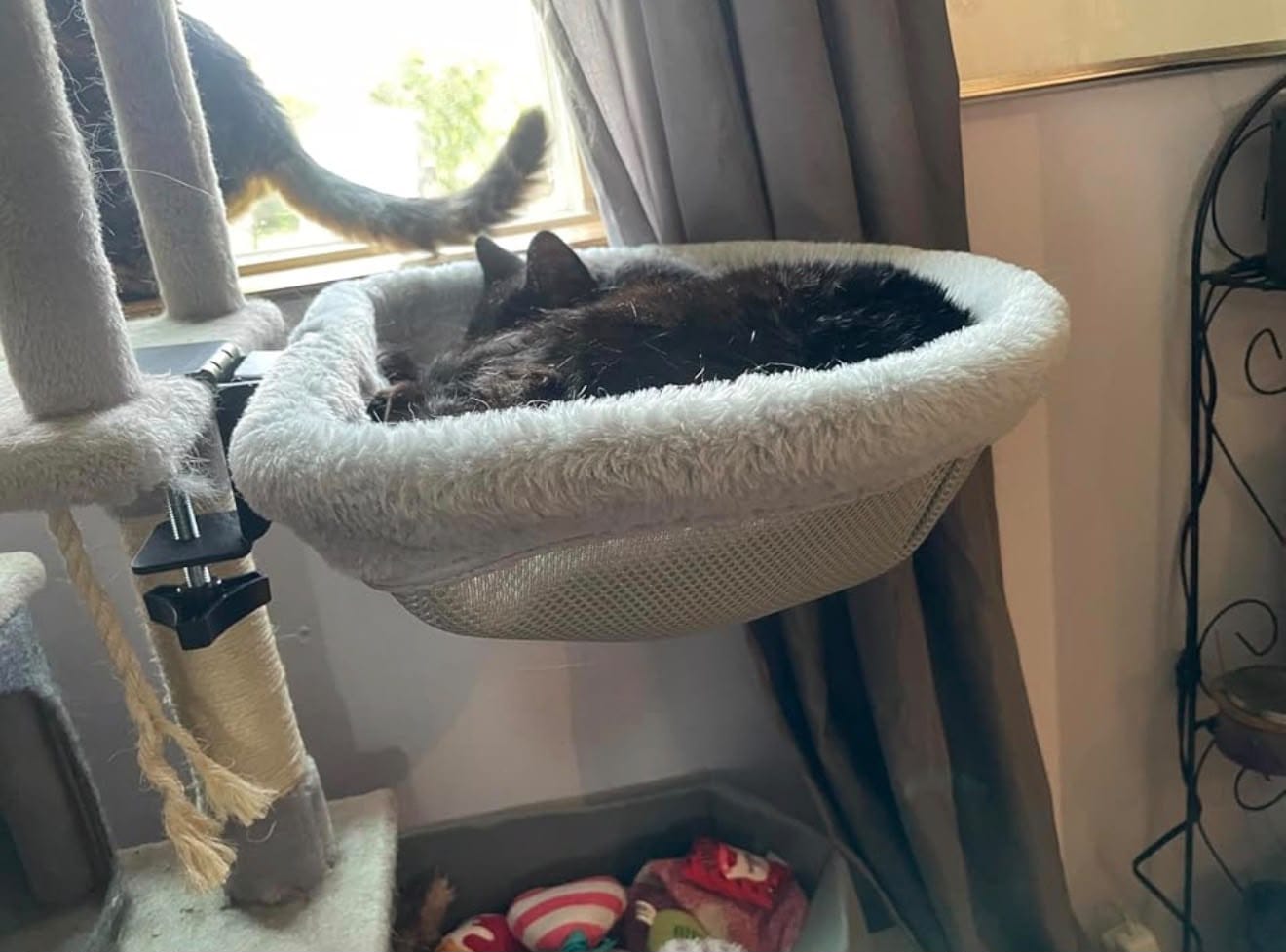 Customer photo review of FlotyCat® Desk Hammock