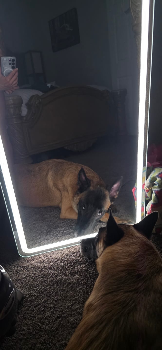 Customer photo review of Pet Shampoo Bar – Peony & Vanilla