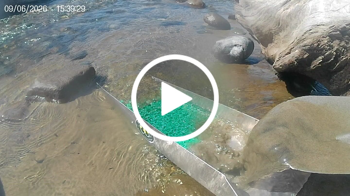 Customer video review of 6X24 Trek Sluice Box with Dream Mat | Gold Prospecting Equipment