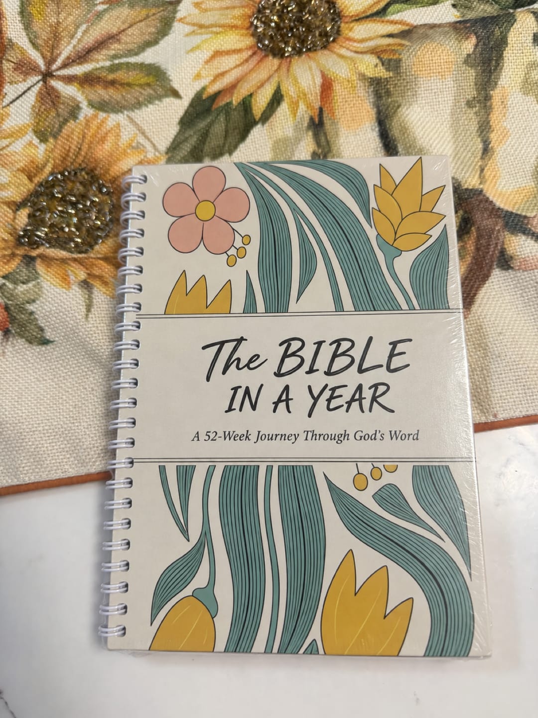 Customer photo review of The Daily Walk with Him: Bible in a Year