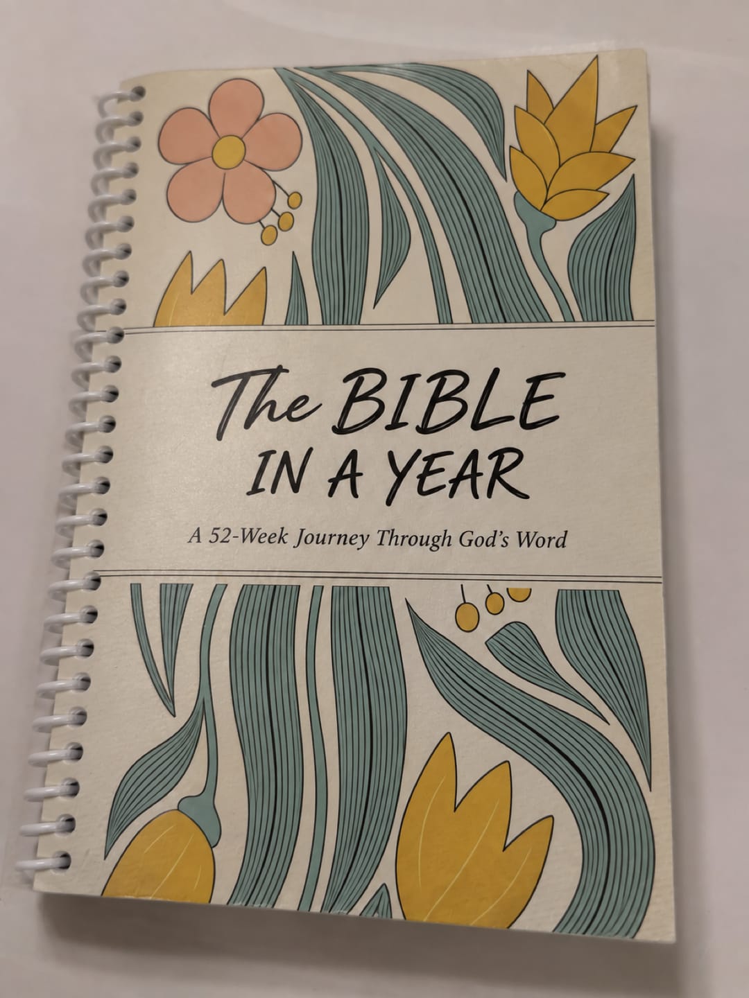 Customer photo review of The Daily Walk with Him: Bible in a Year