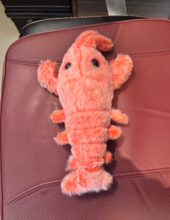 Customer photo review of Peluche langosta con movimiento para mascotas