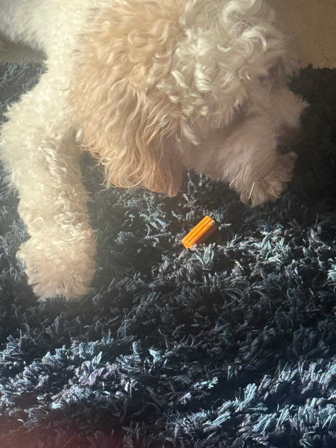 Customer photo review of Dental Chew • Large Package (40 pcs)