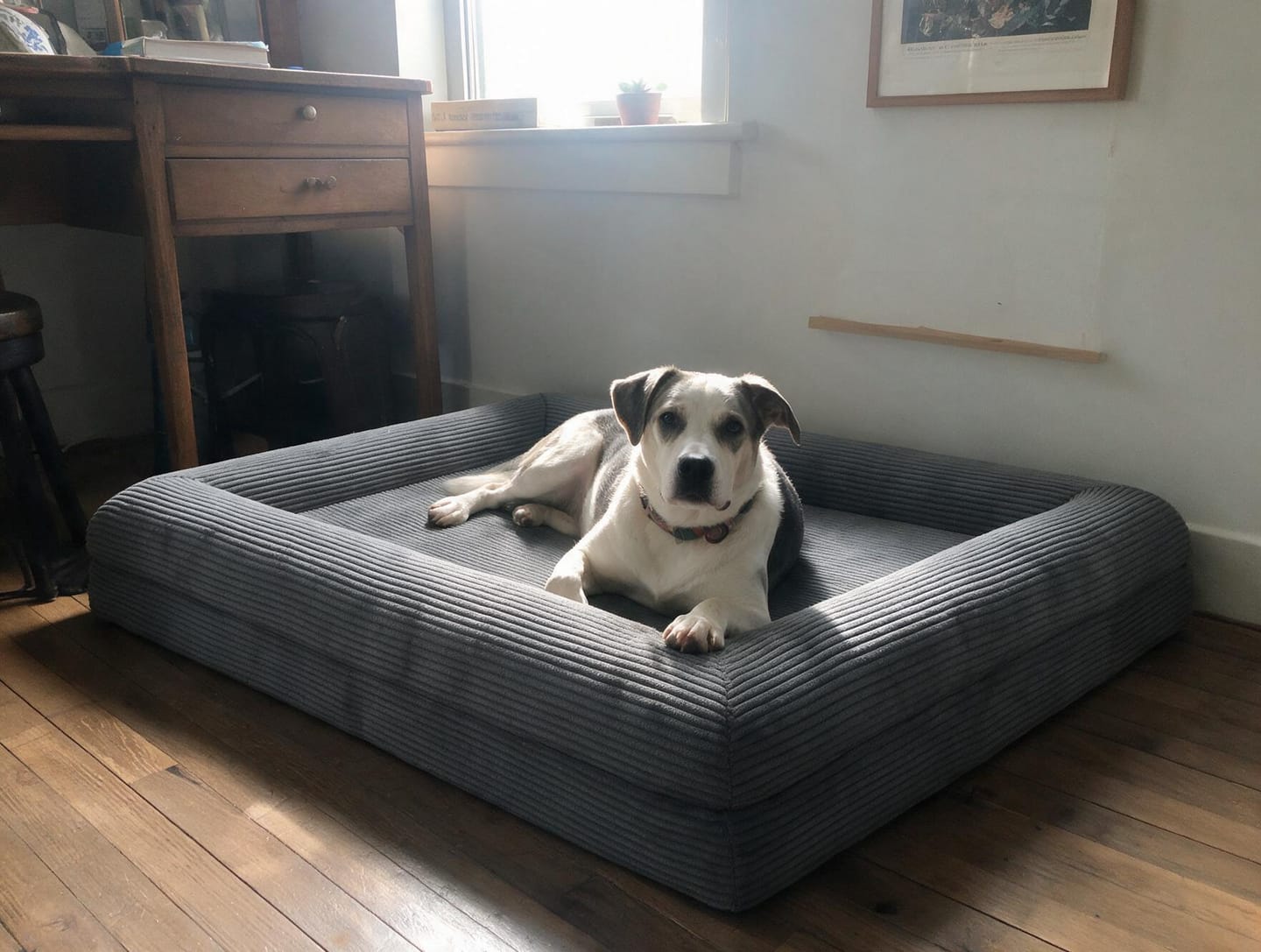 Customer photo review of Orthopedische Hondenbed - Floral Jacquard