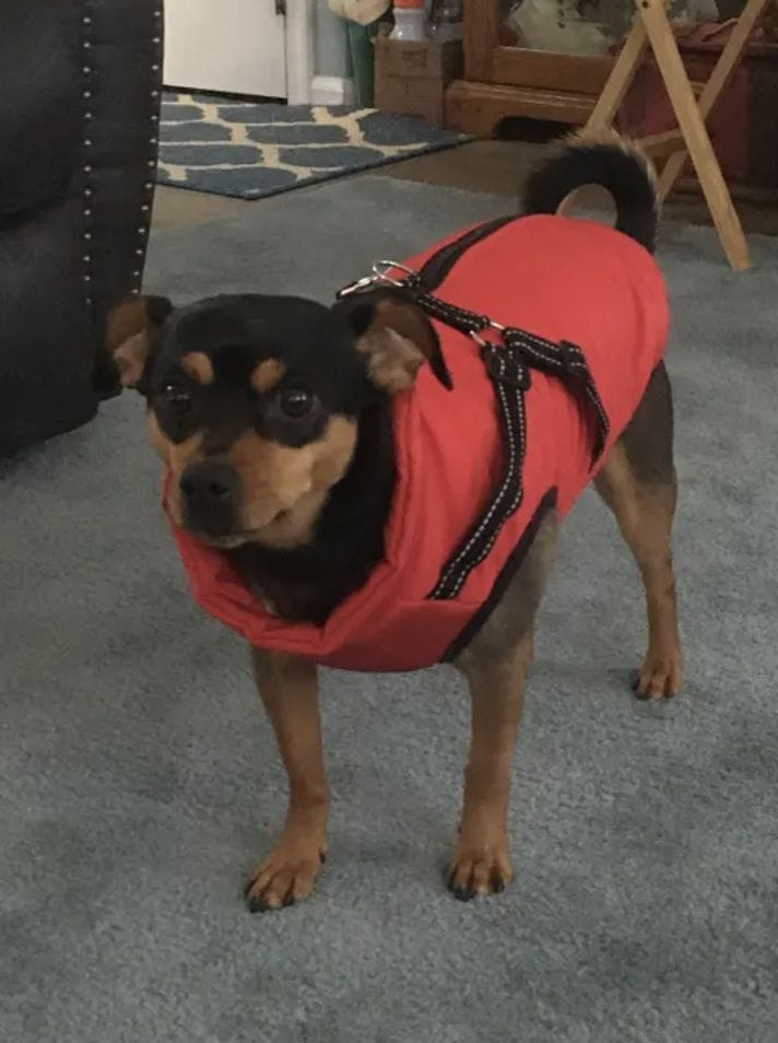 Customer photo review of Manteau 3-en-1 Vira™
