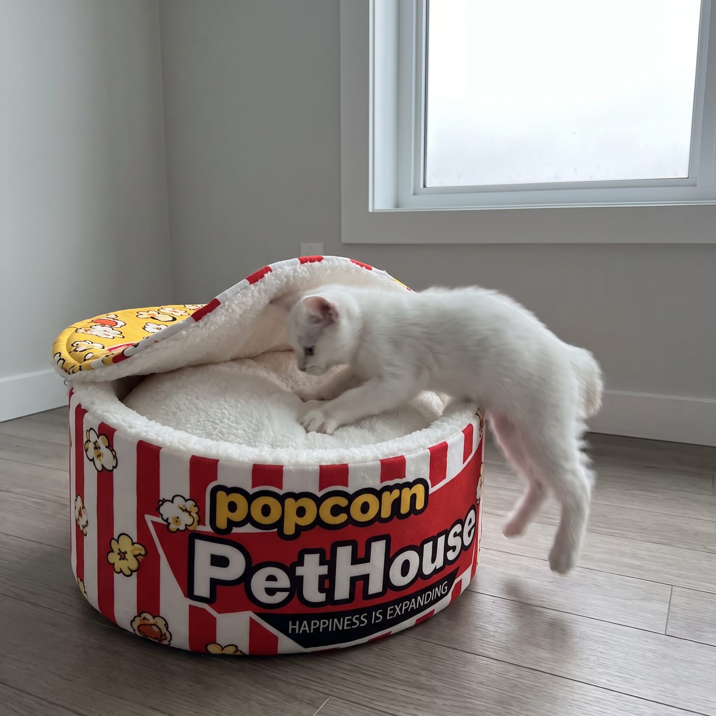 Customer photo review of Cama PopCorn para tu gato