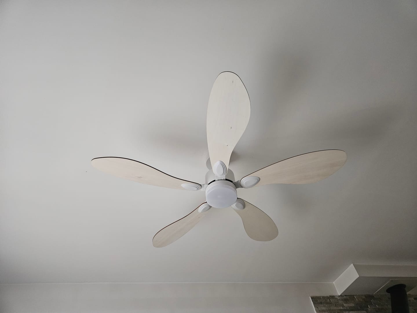 Customer photo review of Libellule | Ventilateur de plafond