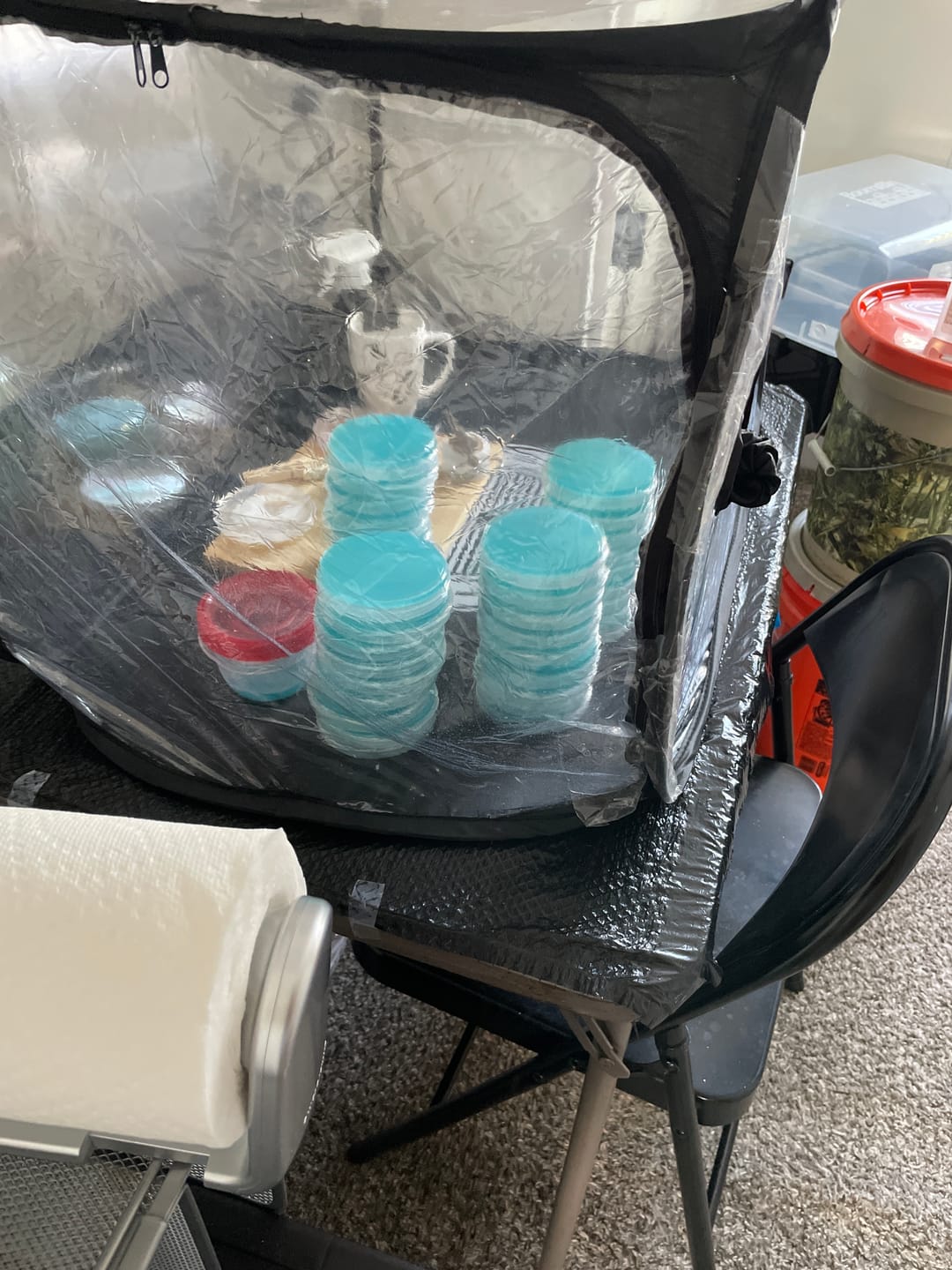 Customer photo review of Autoclavable/Reusable 90mm*15mm Polypropylene Petri Dish