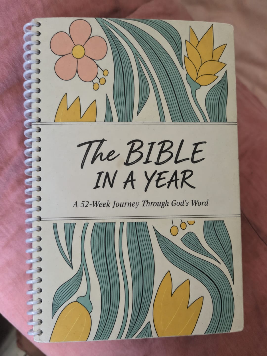 Customer photo review of The Daily Walk with Him: Bible in a Year