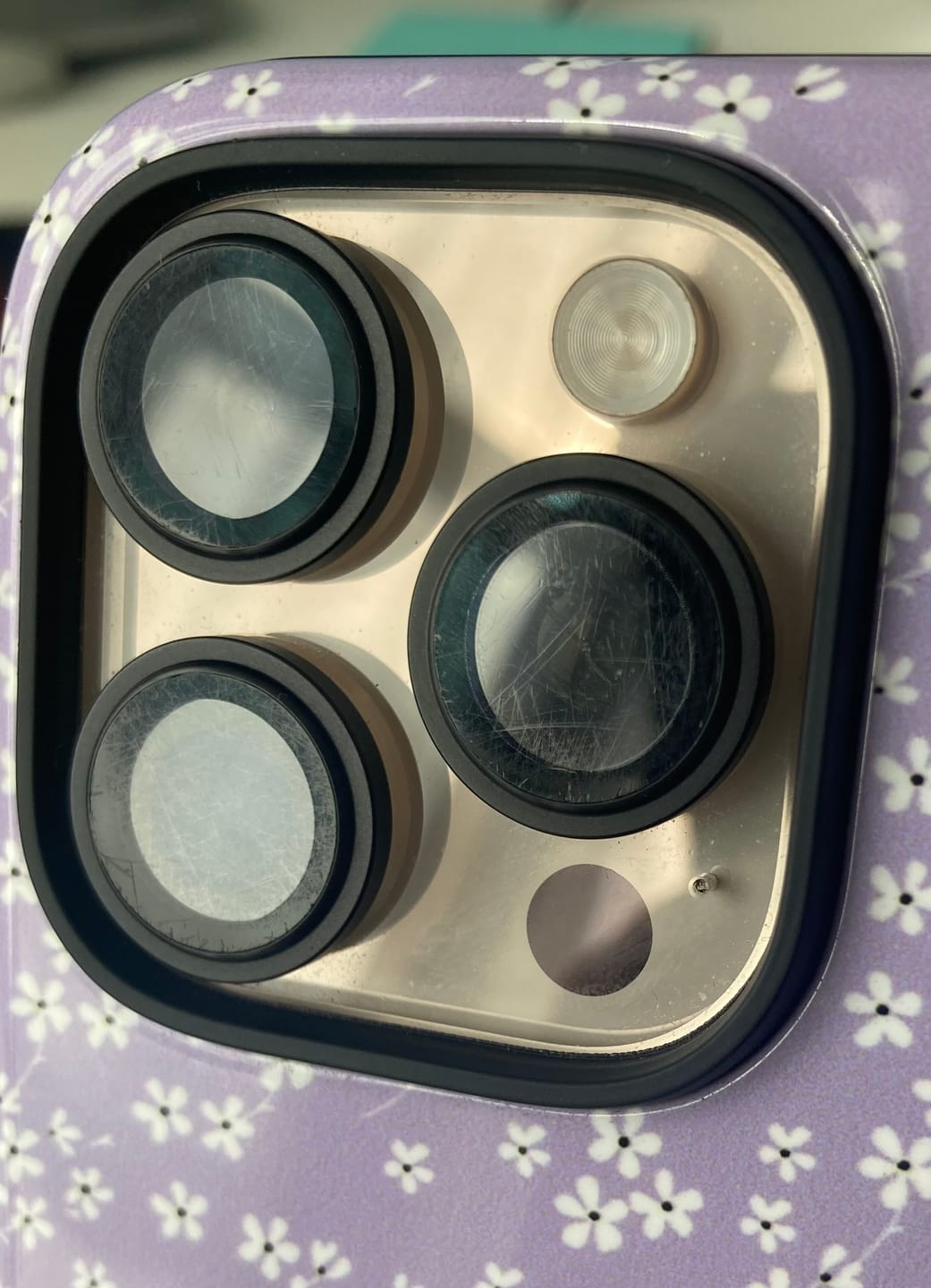 Customer photo review of Camera lens protector