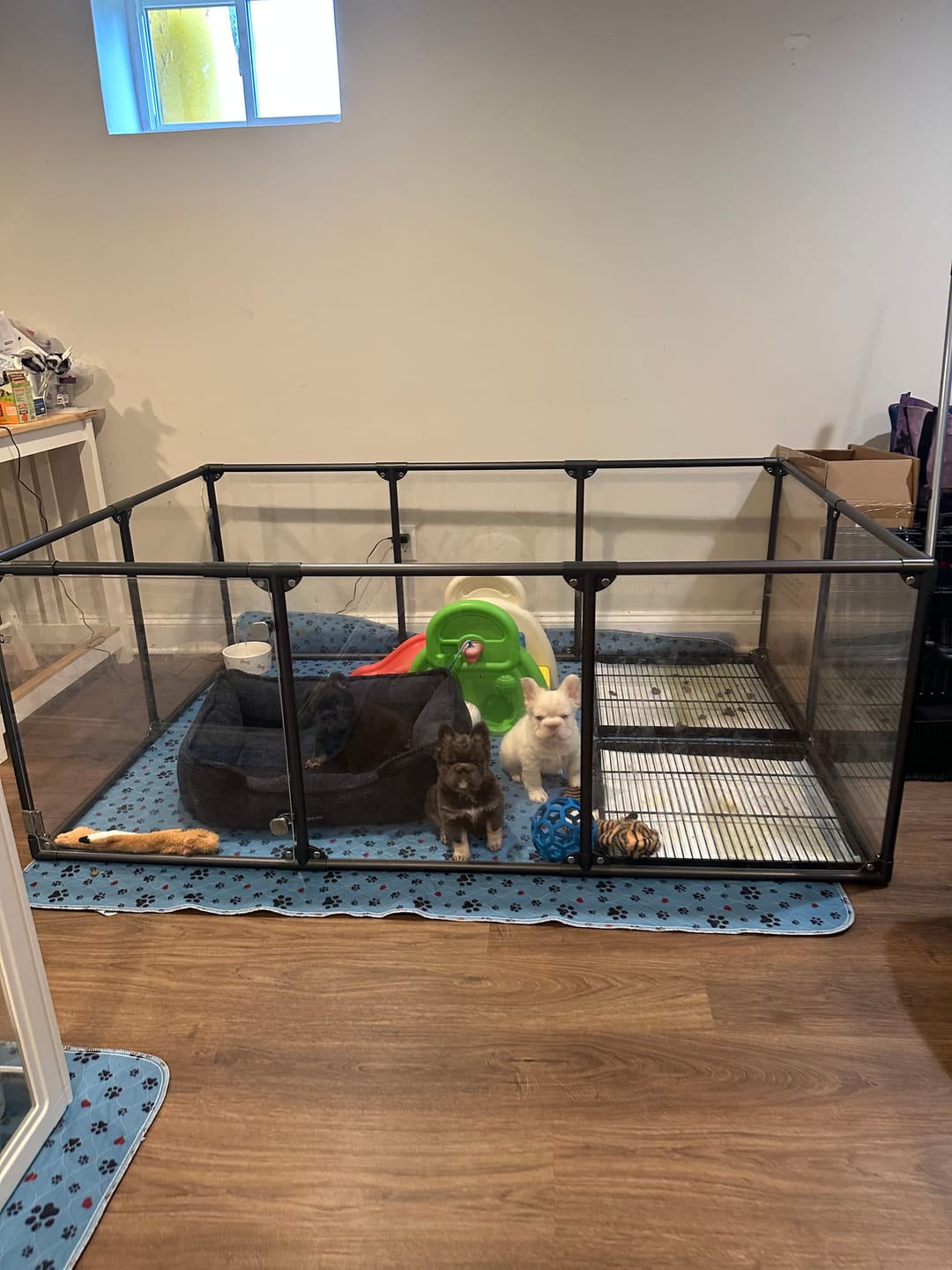 Customer photo review of Little Wolves Potty Tray 22" x 22" - Seconds Discount