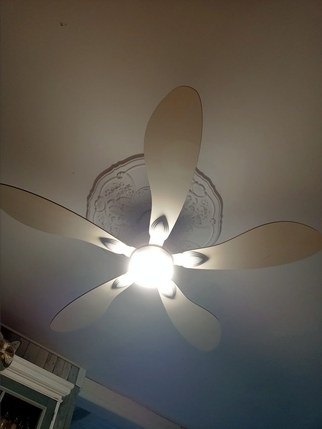 Customer photo review of Libellule | Ventilateur de plafond – Ø 137 cm