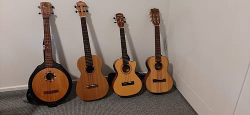 Customer photo review of BB Worth Brown Baritone Ukulele Strings DGBE Tuning Fluorocarbon 2 Restrings per Packet