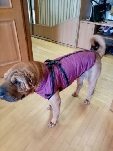 Customer photo review of Manteau 3-en-1 Vira™