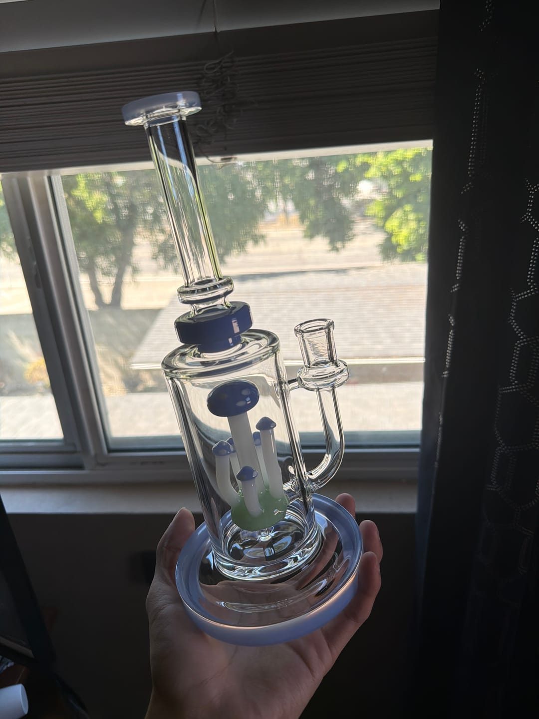 Customer photo review of MUSHROOM TERRANIUM BONG