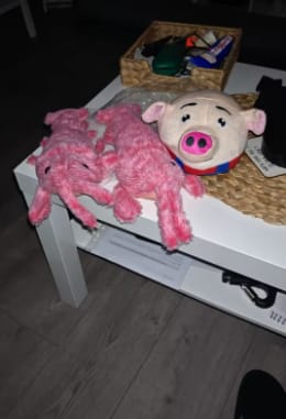 Customer photo review of Peluche langosta con movimiento para mascotas