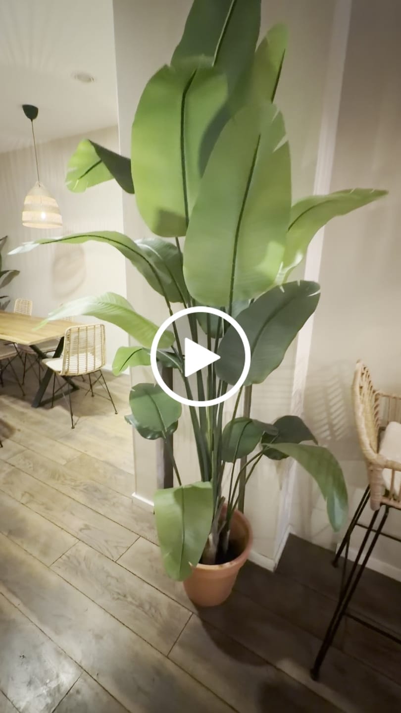 Customer video review of Bananen Kunstpflanze 180cm