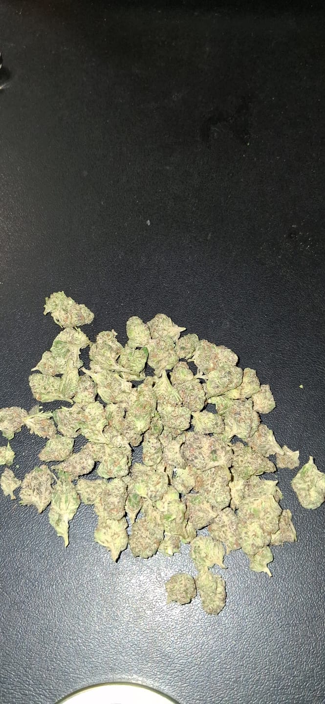 Customer photo review of Black Piranha (Indoor Smalls) - THCA Flower
