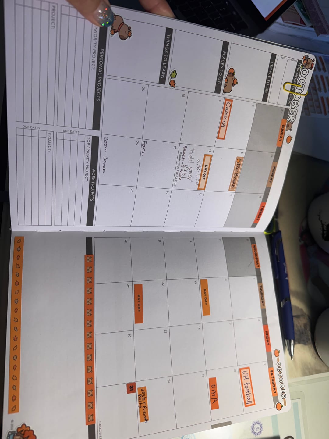 Customer photo review of Autumn Capy Box Set