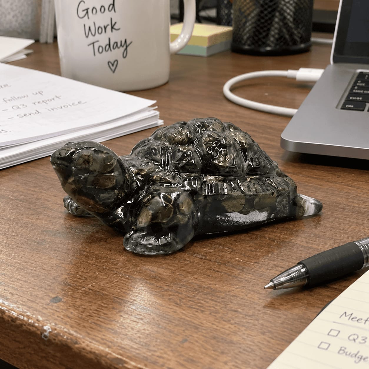 Customer photo review of Pyrite Tortoise Statue