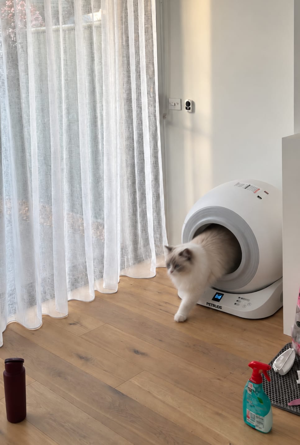 Customer photo review of The Petbuds Q-CLEAN Automatic Self-Cleaning Litter Box
