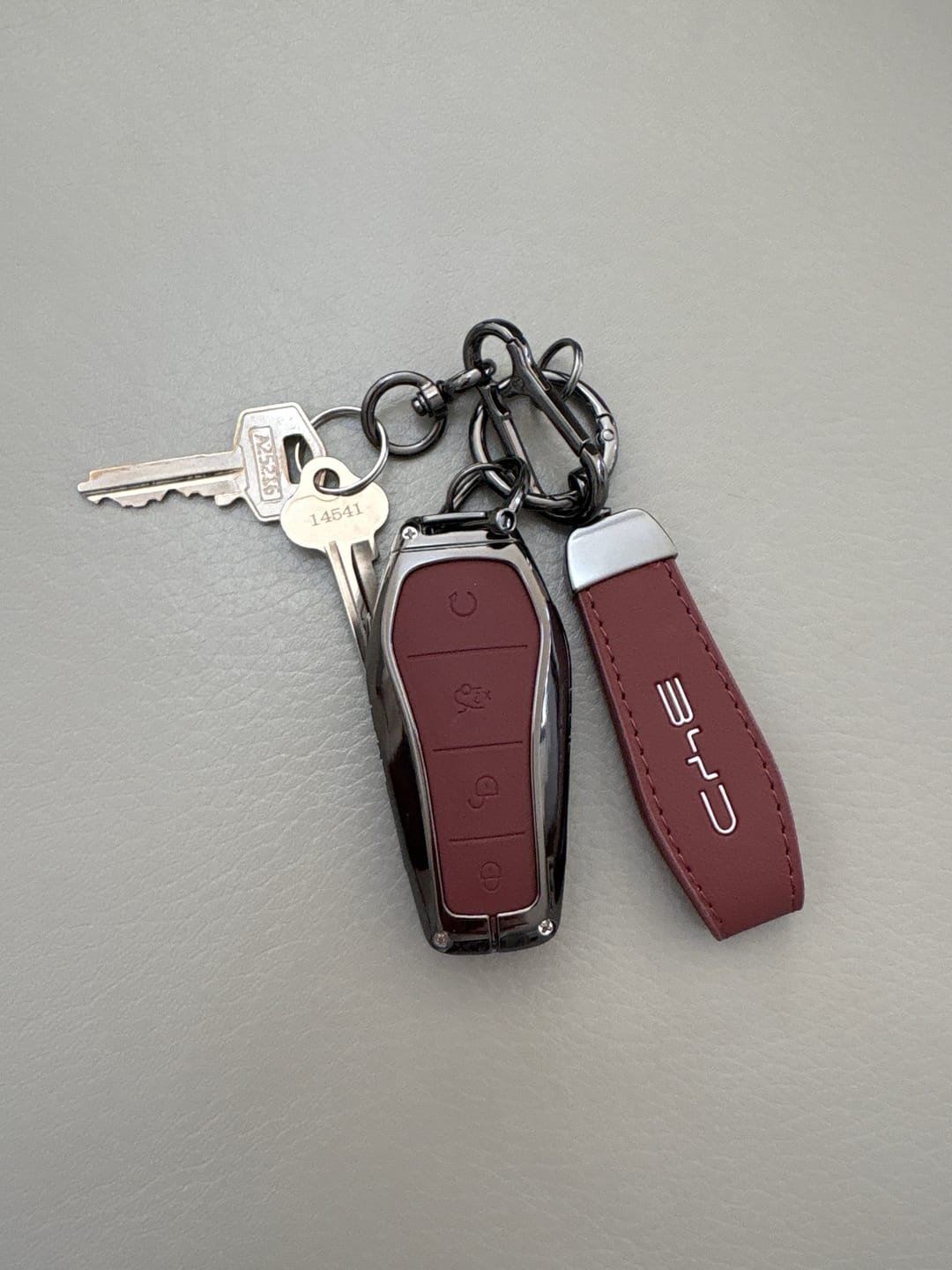 Customer photo review of Key Fob Cover with Keychain For BYD (2023-2026)