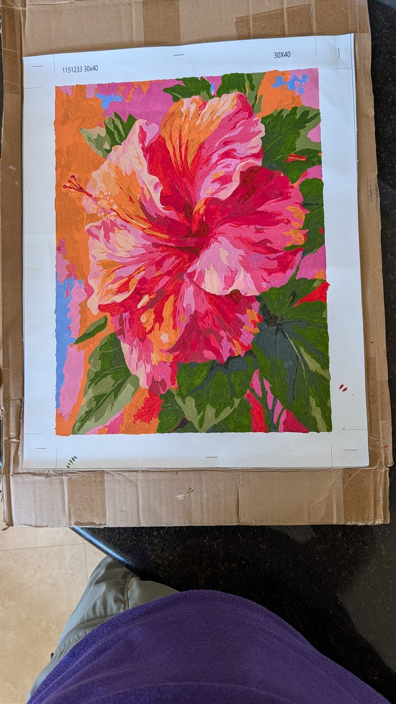 Customer photo review of Colorful Hibiscus | Paint by Number
